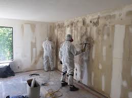 Best Attic Mold Removal  in Mills, WY